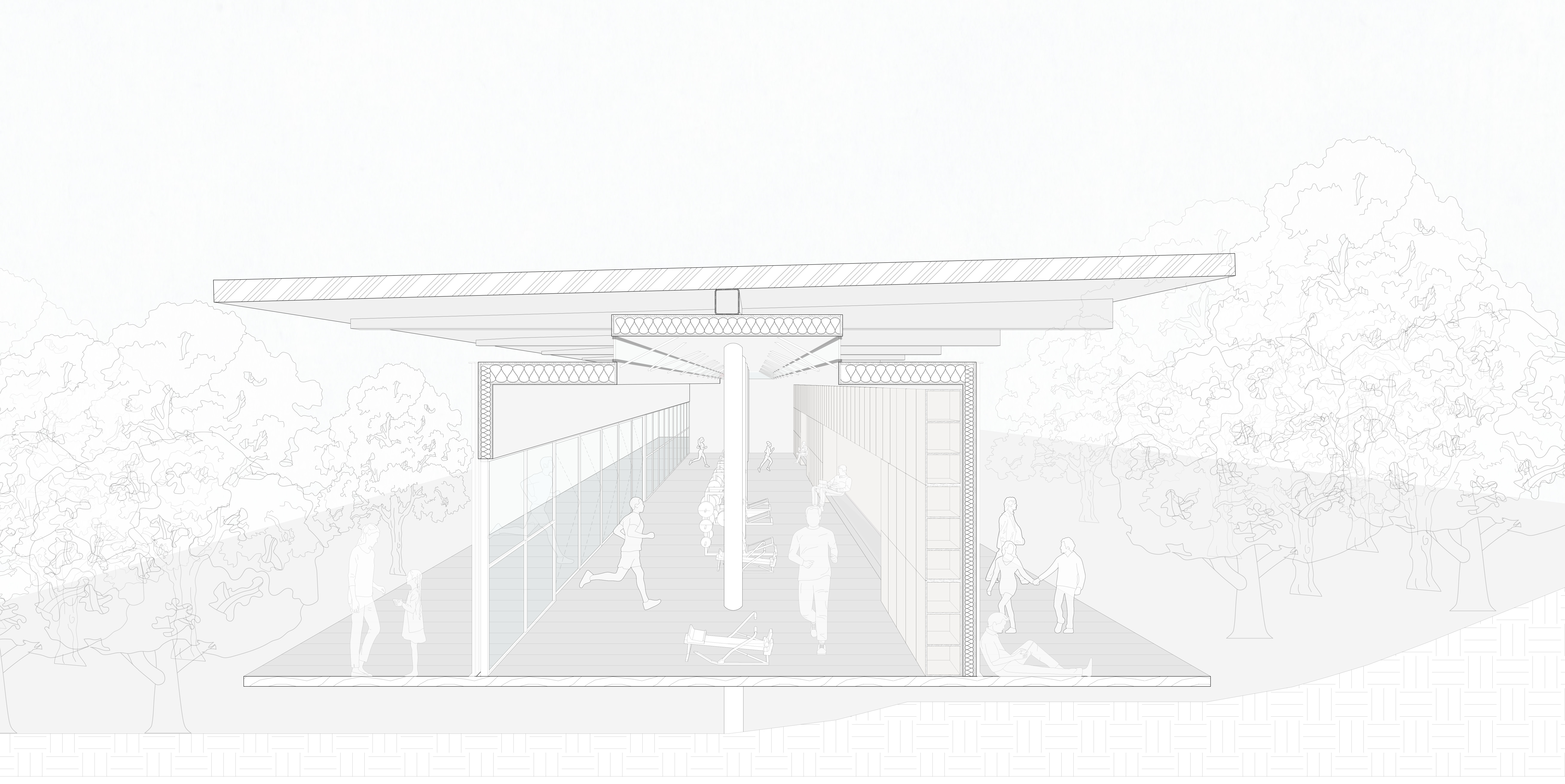 Section Perspective Civic Building