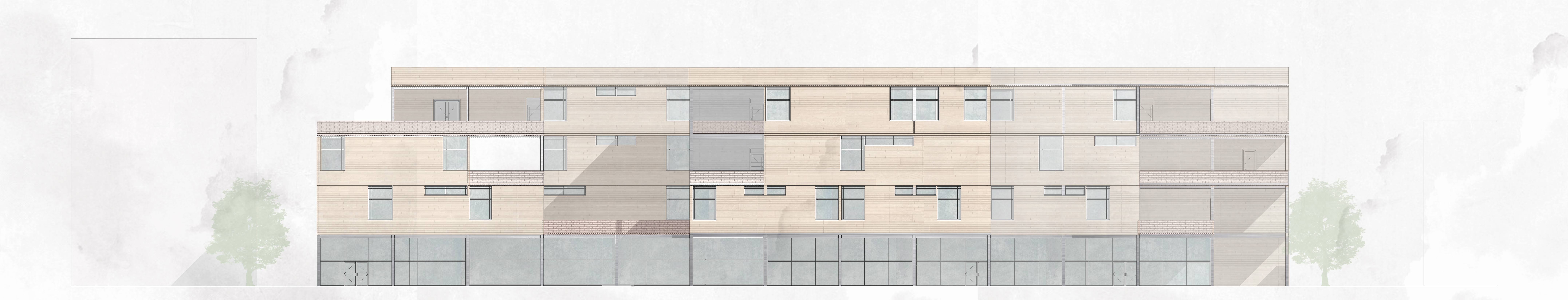 Elevation